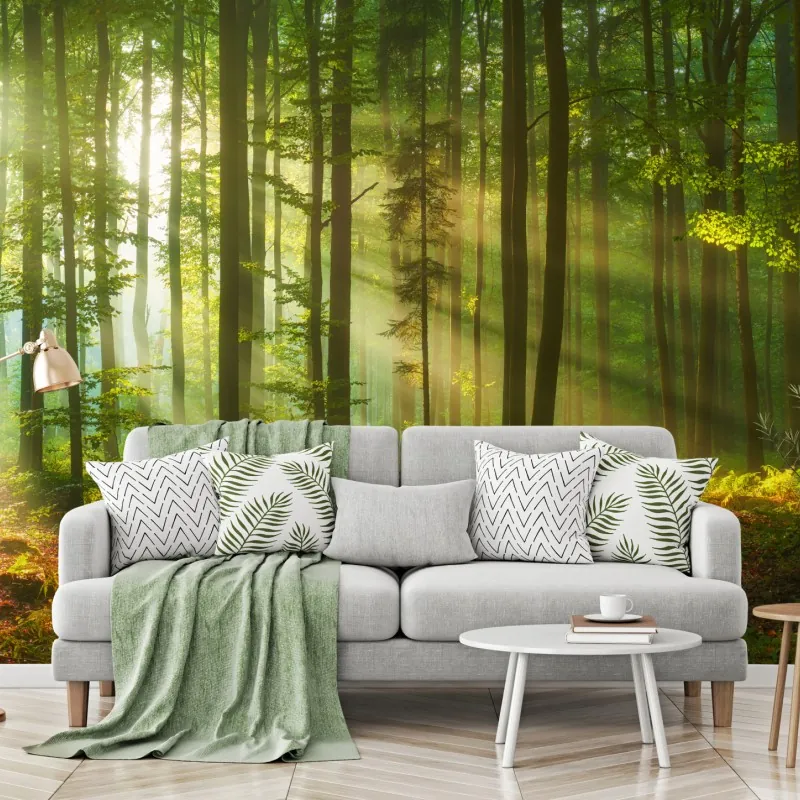 Fototapeta poranne światło w zielonym lesie