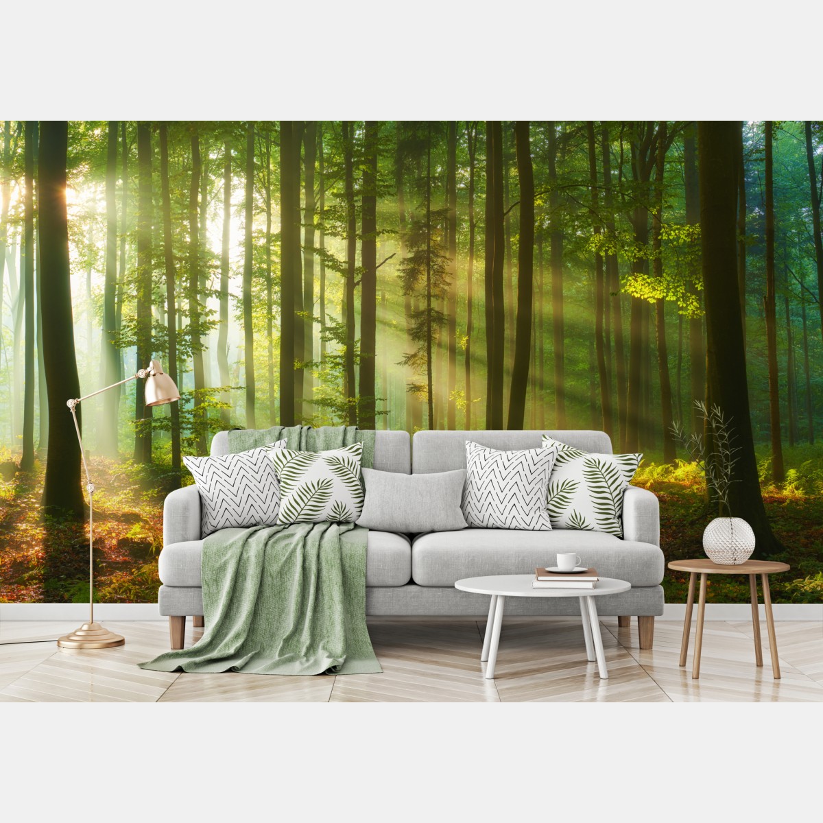 Wall mural morning light in a green forest