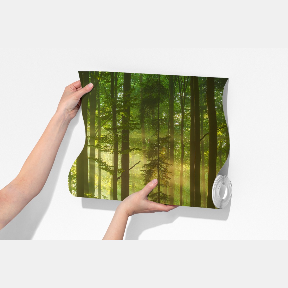 Fototapeta poranne światło w zielonym lesie – Wallissimo® Fototapeta poranne światło w zielonym lesie – Wallissimo®