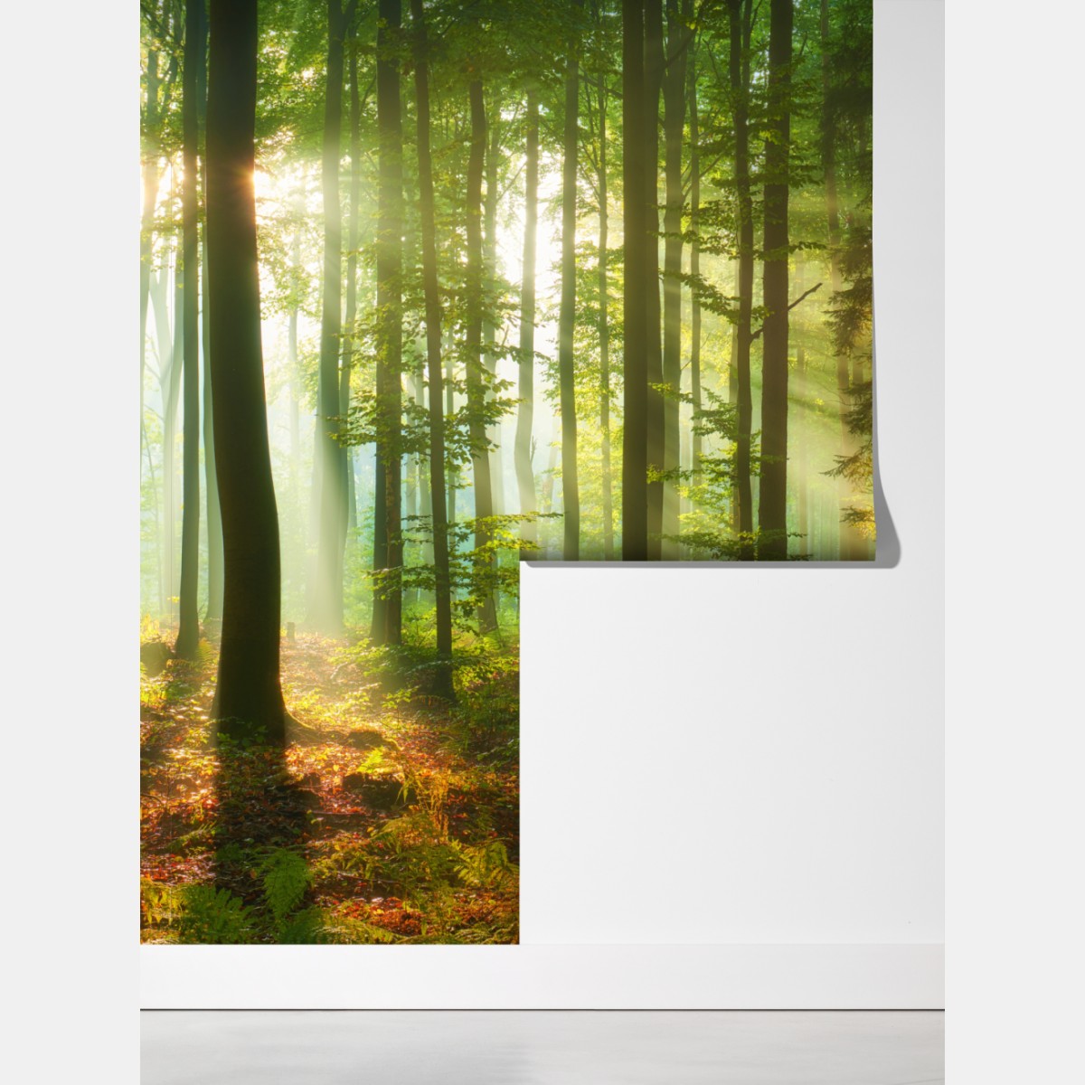 Fototapeta poranne światło w zielonym lesie – Wallissimo® Fototapeta poranne światło w zielonym lesie – Wallissimo®