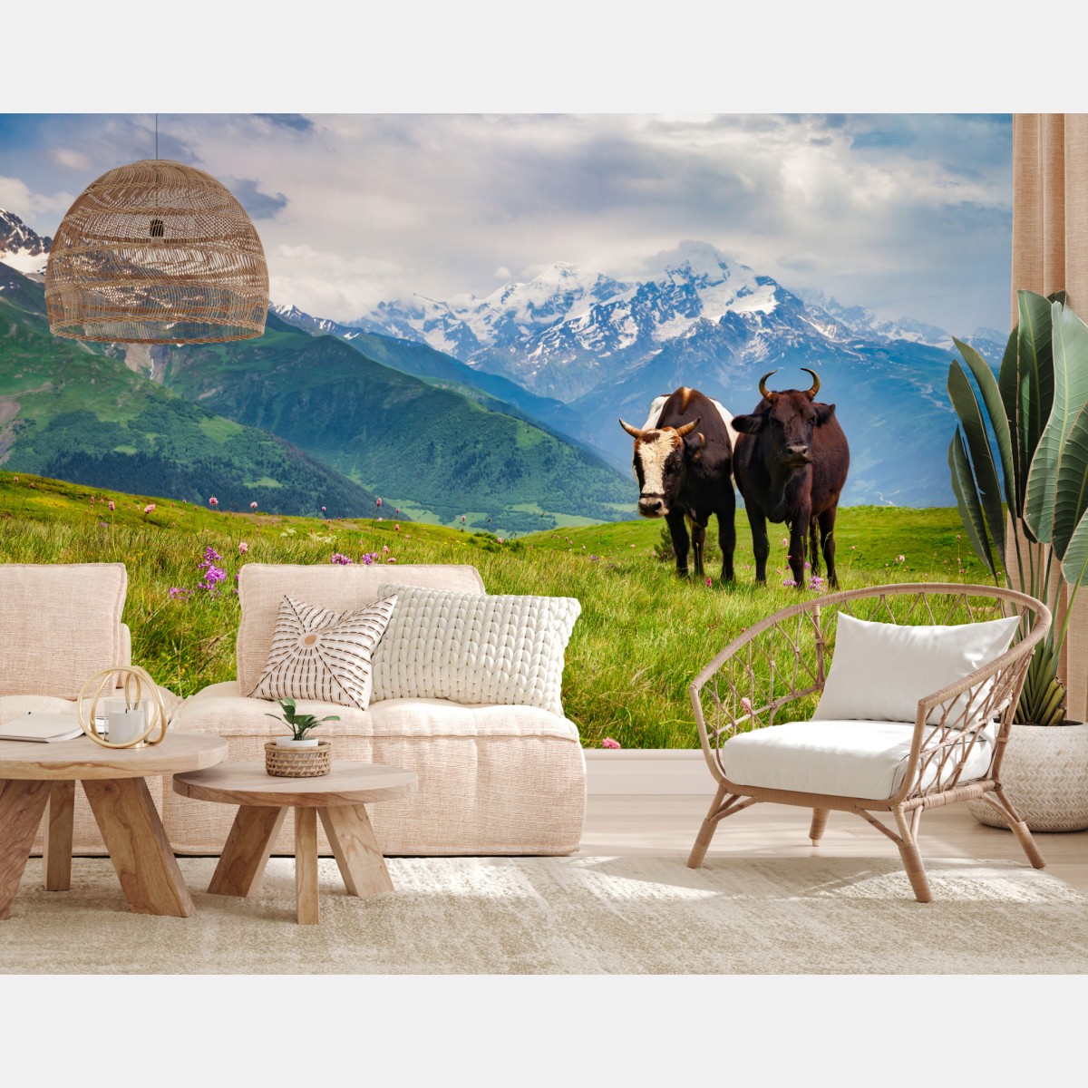 Wall mural alpine meadow with grazing cows