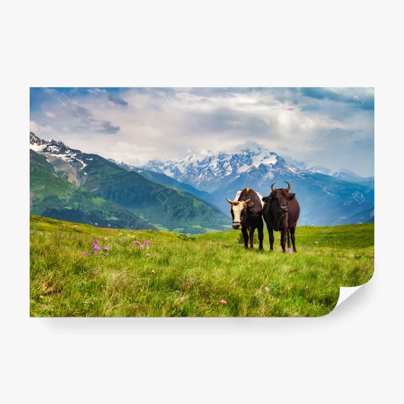 Fototapeta mglisty poranek nad Val d'Orcia – Wallissimo®