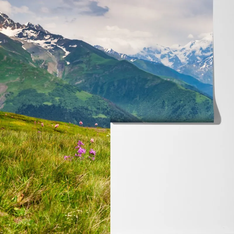 Fototapeta alpejska łąka z pasącymi się krowami – Wallissimo® Fototapeta alpejska łąka z pasącymi się krowami – Wallissimo®