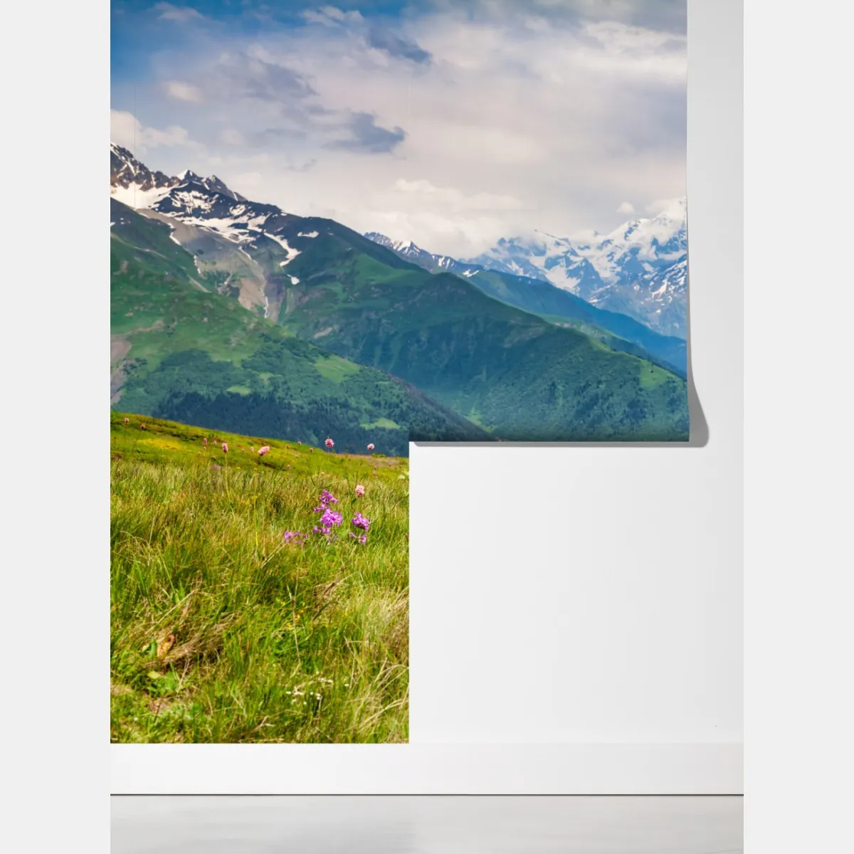 Fototapeta alpejska łąka z pasącymi się krowami – Wallissimo® Fototapeta alpejska łąka z pasącymi się krowami – Wallissimo®