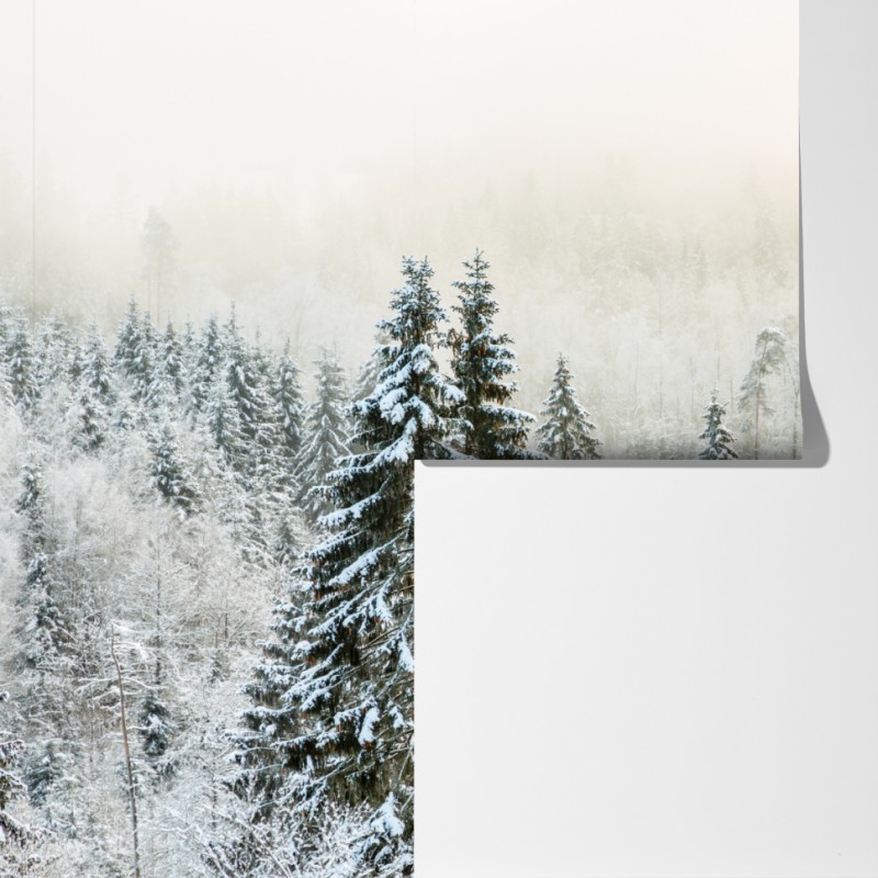 Fototapeta zimowy las w delikatnej mgle – Wallissimo® Fototapeta zimowy las w delikatnej mgle – Wallissimo®