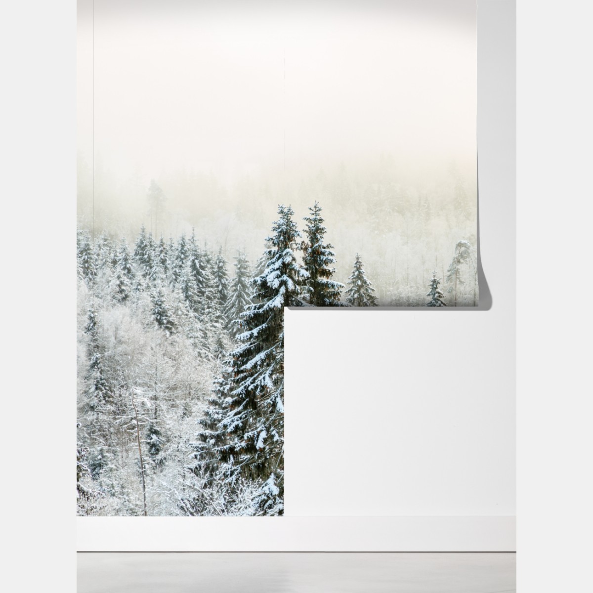 Fototapeta zimowy las w delikatnej mgle – Wallissimo® Fototapeta zimowy las w delikatnej mgle – Wallissimo®