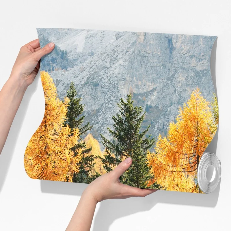 Fototapeta złoty jesienny las modrzewiowy – Wallissimo® Fototapeta złoty jesienny las modrzewiowy – Wallissimo®