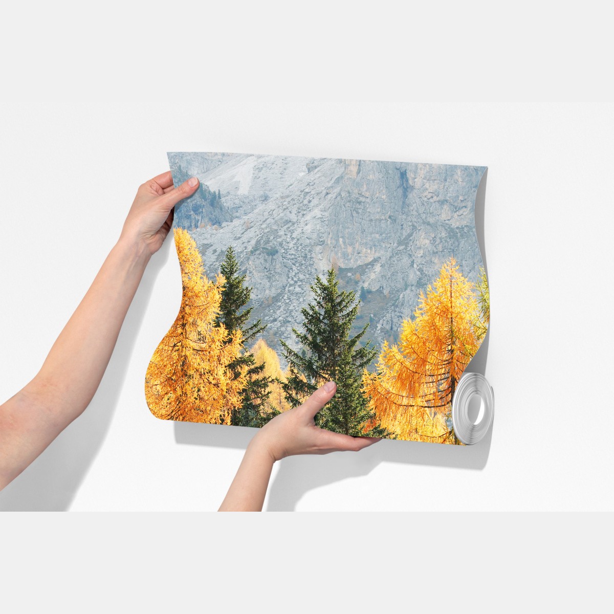 Fototapeta złoty jesienny las modrzewiowy – Wallissimo® Fototapeta złoty jesienny las modrzewiowy – Wallissimo®