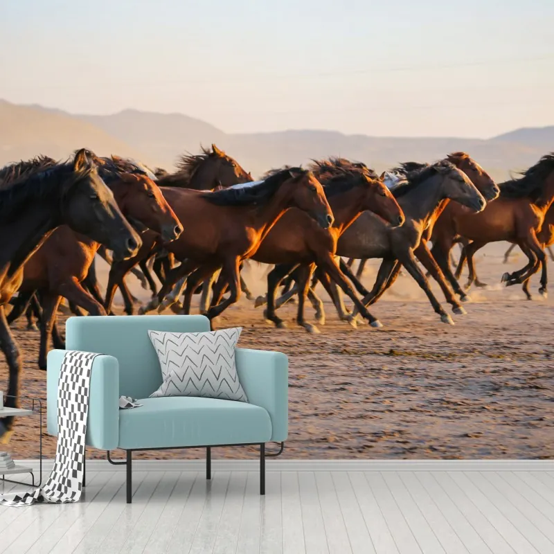 Fototapeta stado koni yilki galopujących po polu w Kayseri