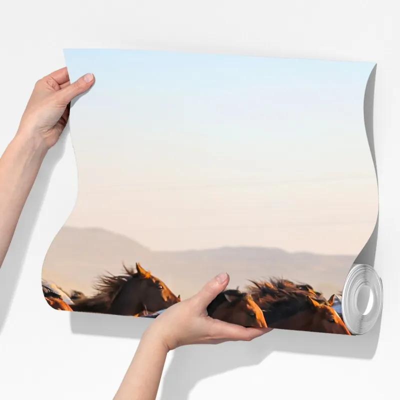 Fototapeta stado koni yilki galopujących po polu w Kayseri – Wallissimo® Fototapeta stado koni yilki galopujących po polu w Kayseri – Wallissimo®