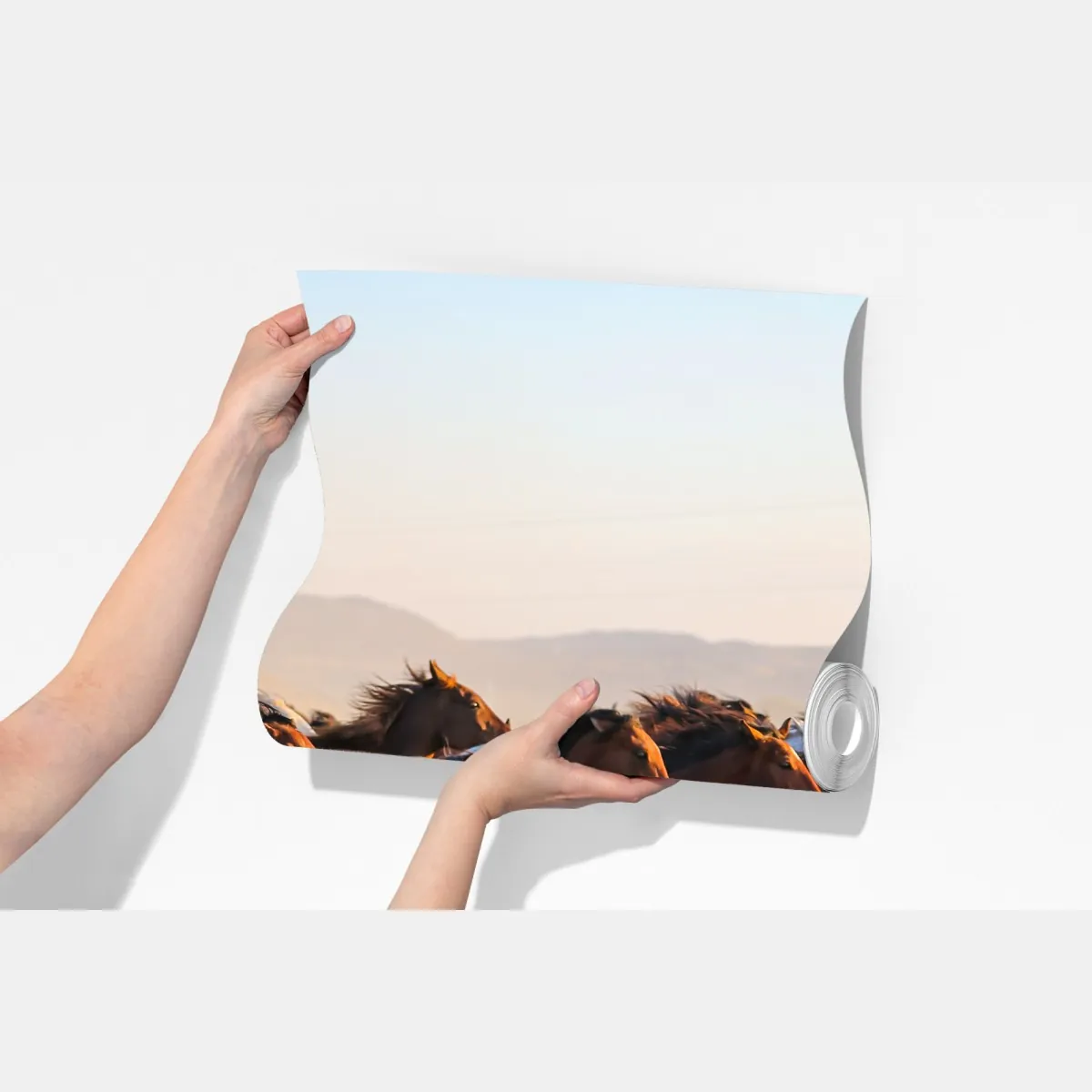 Fototapeta stado koni yilki galopujących po polu w Kayseri – Wallissimo® Fototapeta stado koni yilki galopujących po polu w Kayseri – Wallissimo®