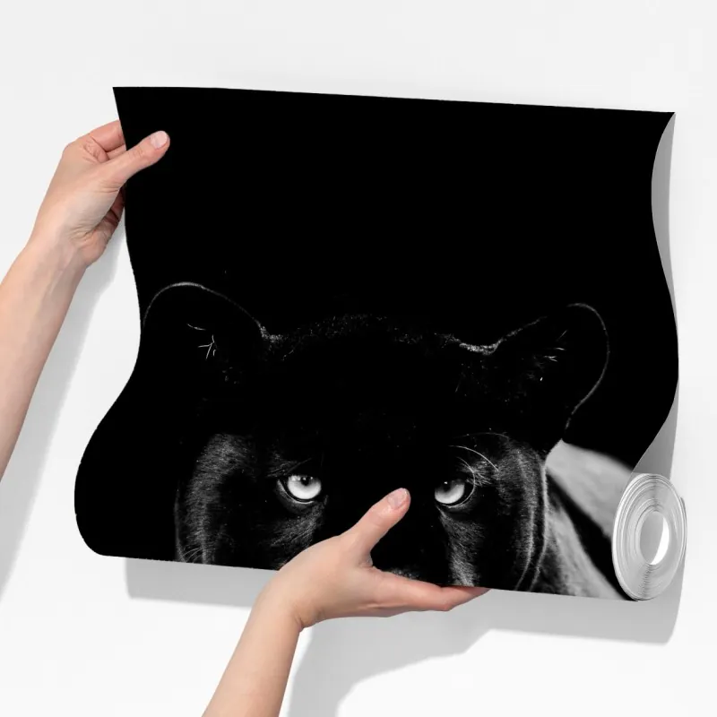 Fototapeta majestatyczny portret czarnej pantery – Wallissimo® Fototapeta majestatyczny portret czarnej pantery – Wallissimo®