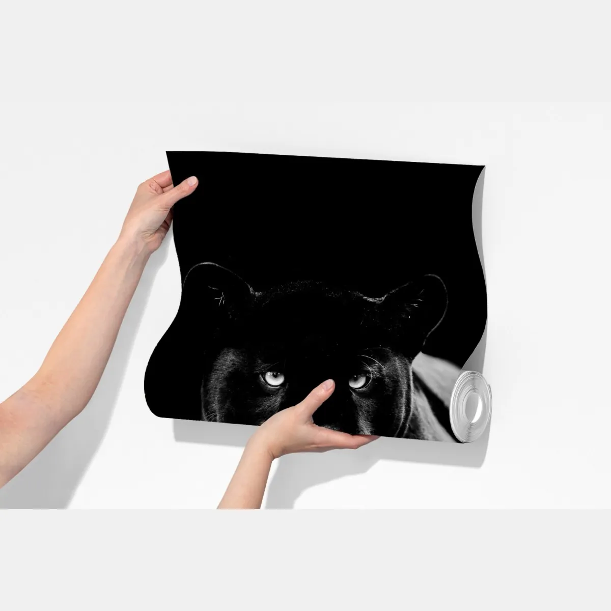 Fototapeta majestatyczny portret czarnej pantery – Wallissimo® Fototapeta majestatyczny portret czarnej pantery – Wallissimo®