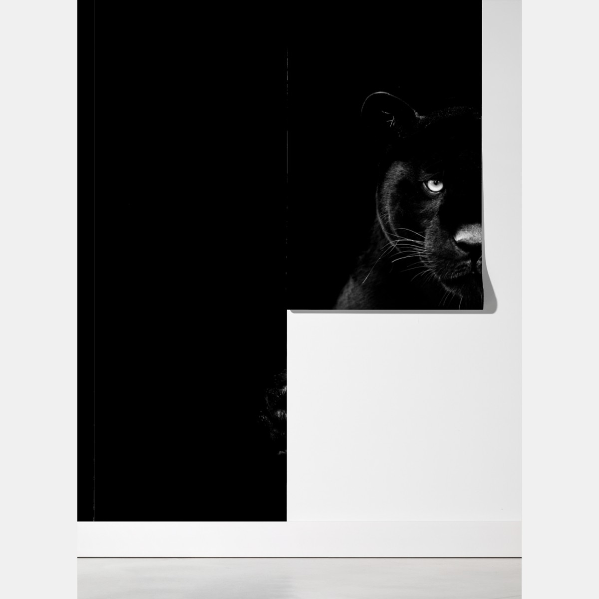 Fototapeta majestatyczny portret czarnej pantery – Wallissimo® Fototapeta majestatyczny portret czarnej pantery – Wallissimo®