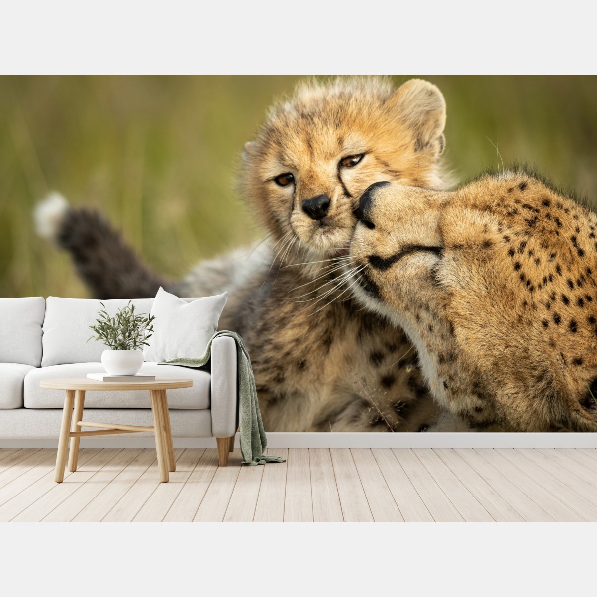 Wall mural cheetah mother and cub nuzzle