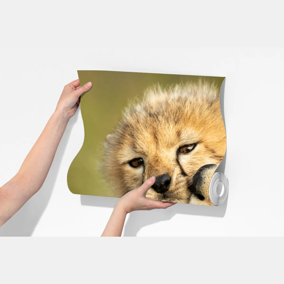 Fototapeta matka geparda przytulająca młodego – Wallissimo® Fototapeta matka geparda przytulająca młodego – Wallissimo®