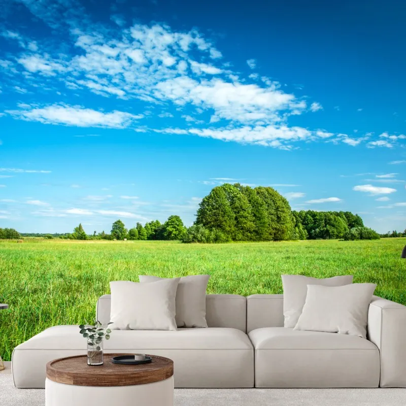 Fototapeta słoneczna zielona łąka pod niebieskim niebem