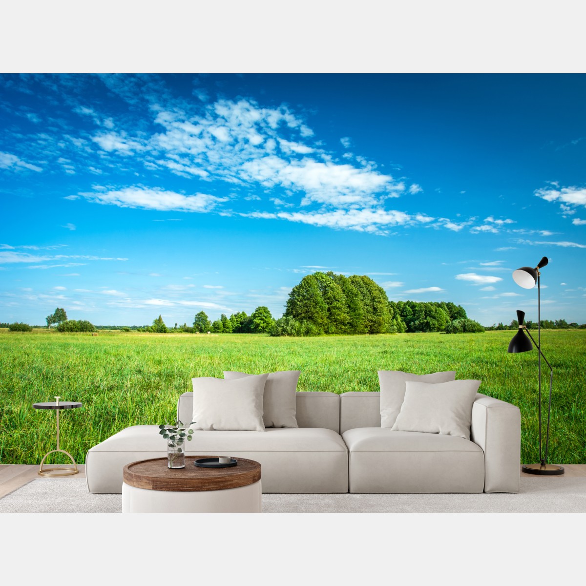 Wall mural sunlit green meadow under a blue sky