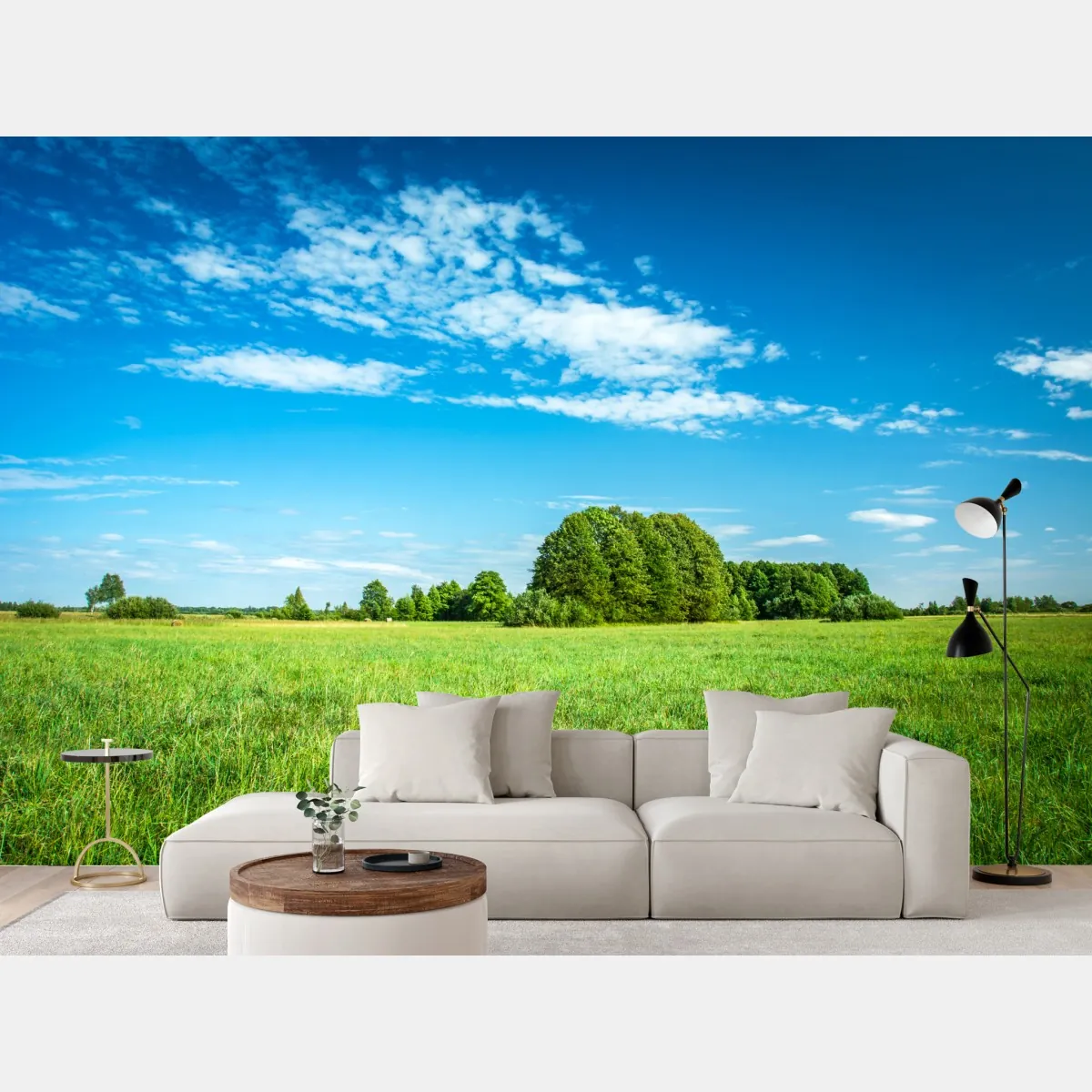 Fototapeta słoneczna zielona łąka pod niebieskim niebem – Wallissimo® Fototapeta słoneczna zielona łąka pod niebieskim niebem – Wallissimo®