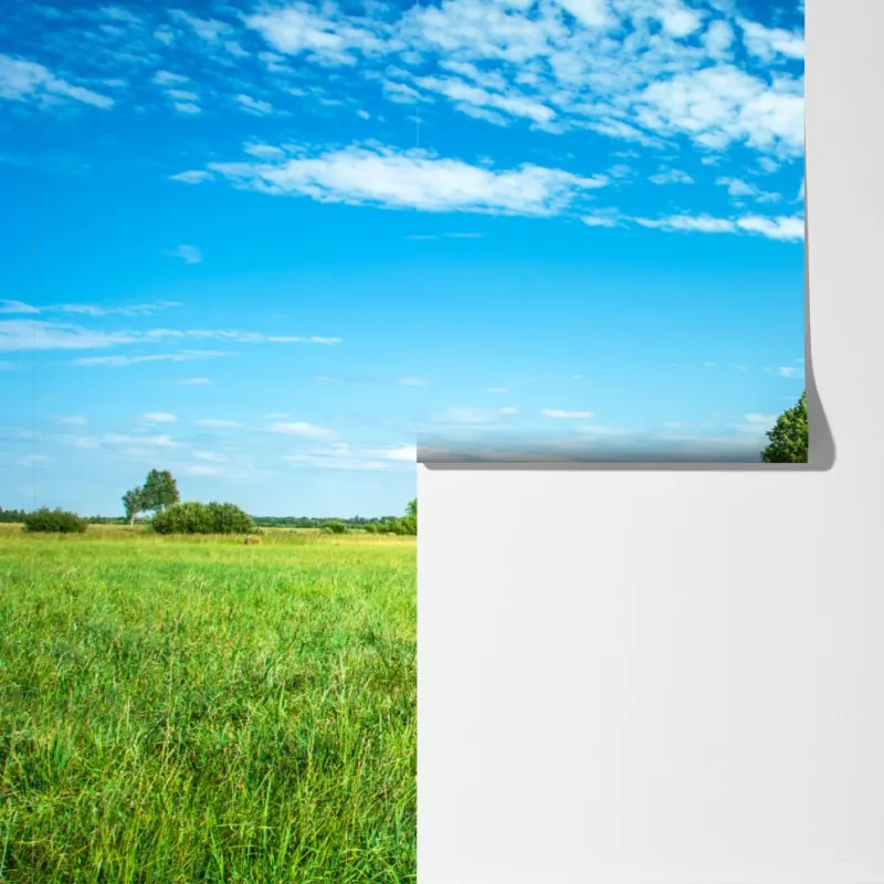 Fototapeta słoneczna zielona łąka pod niebieskim niebem – Wallissimo® Fototapeta słoneczna zielona łąka pod niebieskim niebem – Wallissimo®