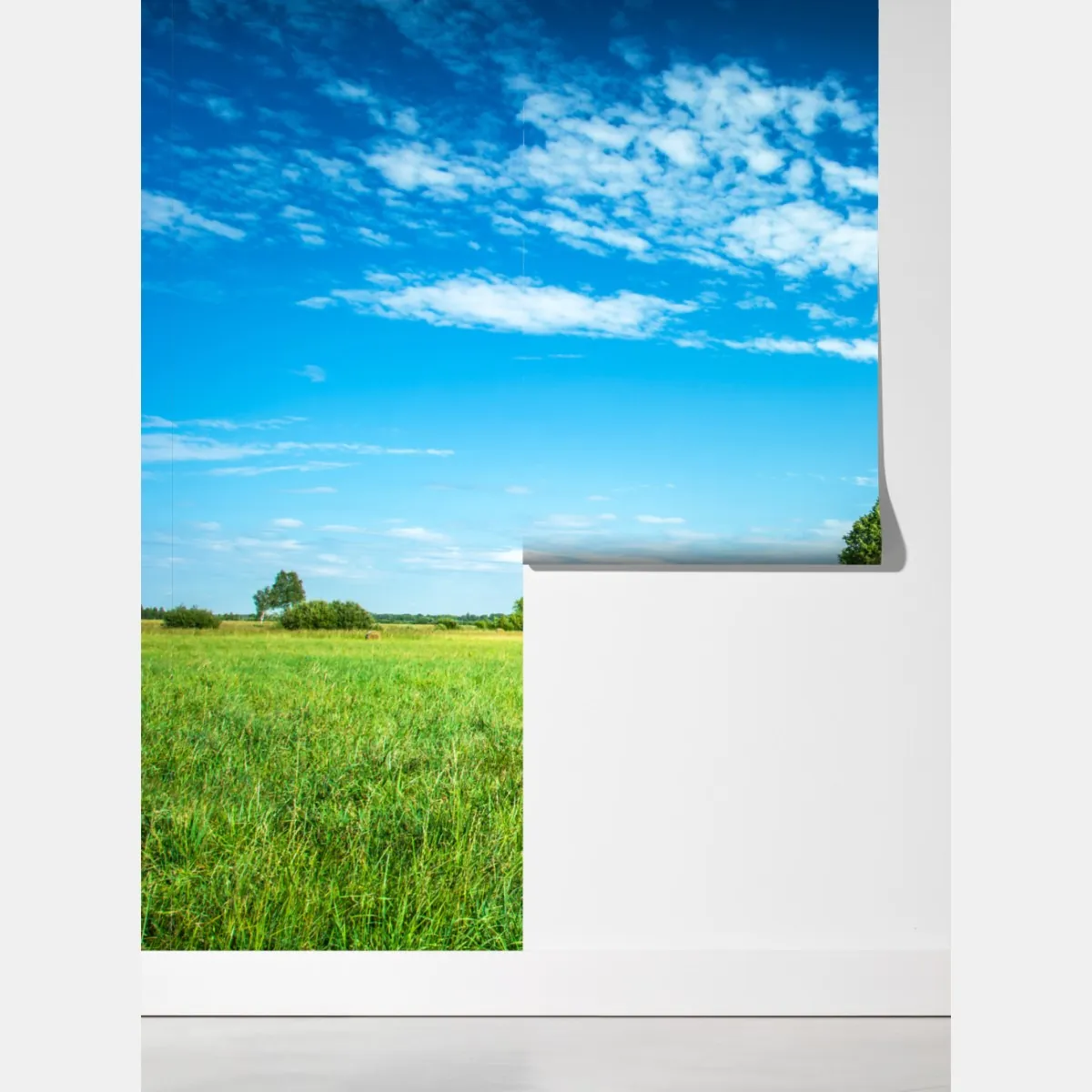 Fototapeta słoneczna zielona łąka pod niebieskim niebem – Wallissimo® Fototapeta słoneczna zielona łąka pod niebieskim niebem – Wallissimo®