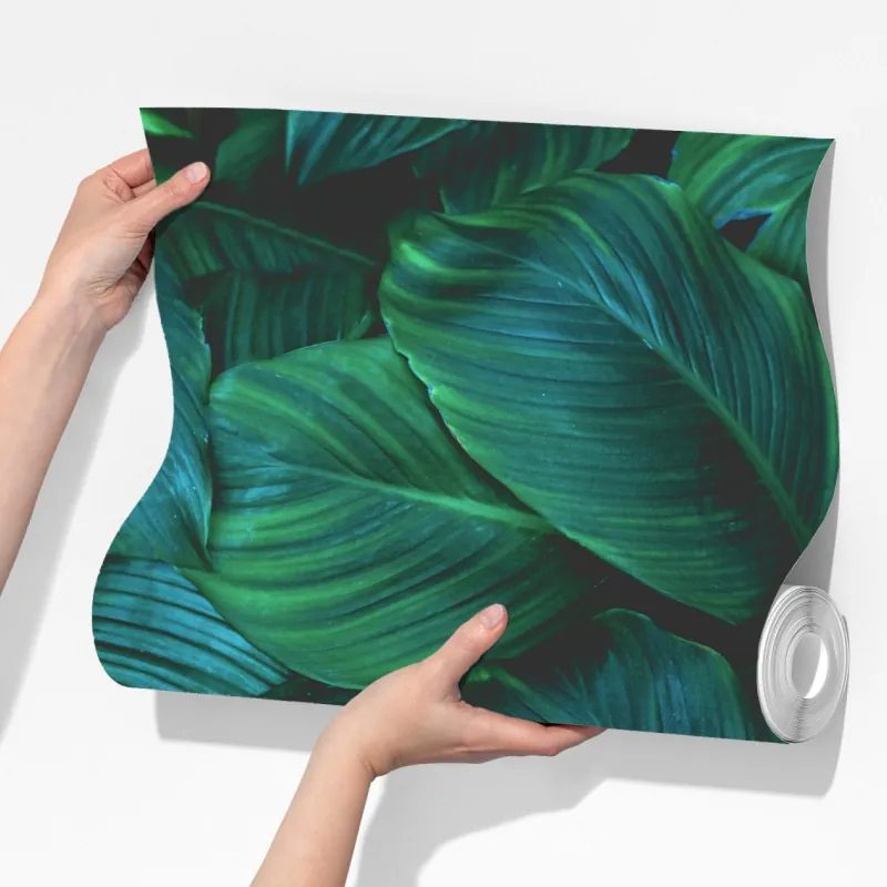 Fototapeta bujne tropikalne liście – Wallissimo® Fototapeta bujne tropikalne liście – Wallissimo®