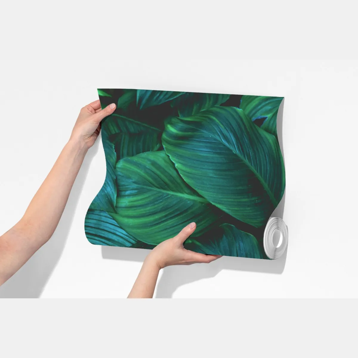 Fototapeta bujne tropikalne liście – Wallissimo® Fototapeta bujne tropikalne liście – Wallissimo®