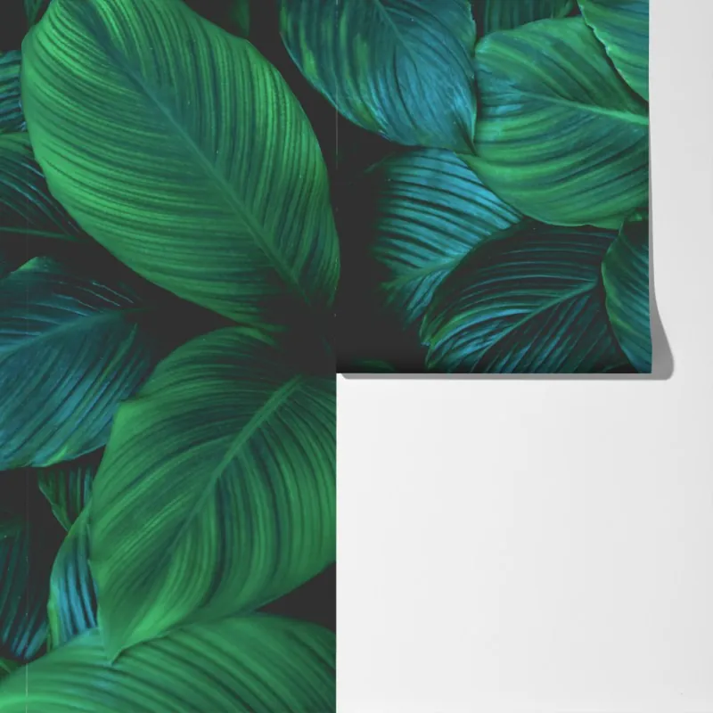 Fototapeta bujne tropikalne liście – Wallissimo® Fototapeta bujne tropikalne liście – Wallissimo®