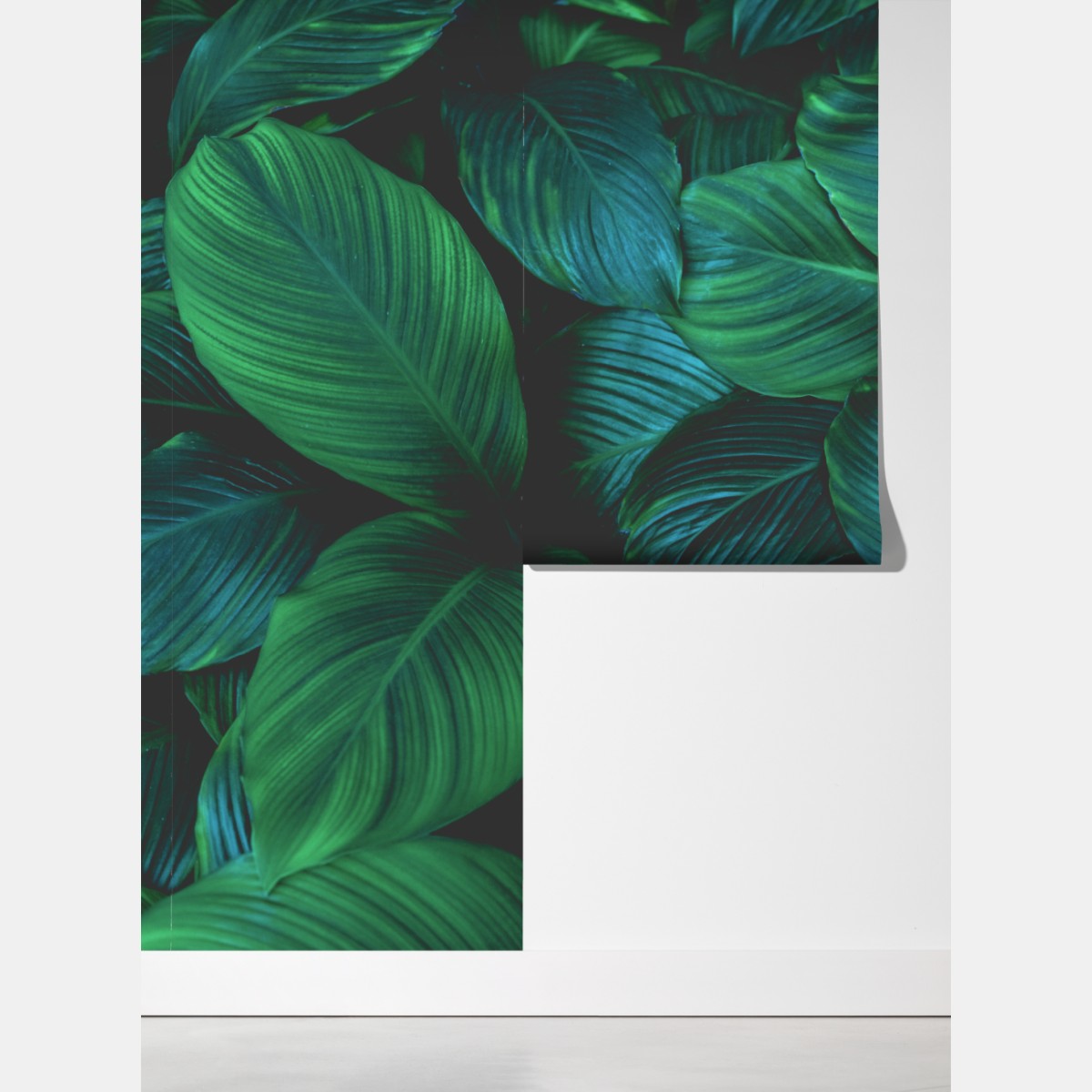 Fototapeta bujne tropikalne liście – Wallissimo® Fototapeta bujne tropikalne liście – Wallissimo®