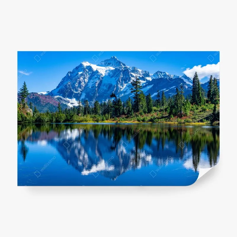 Fototapeta mglisty las sosnowy o wschodzie słońca – Wallissimo®