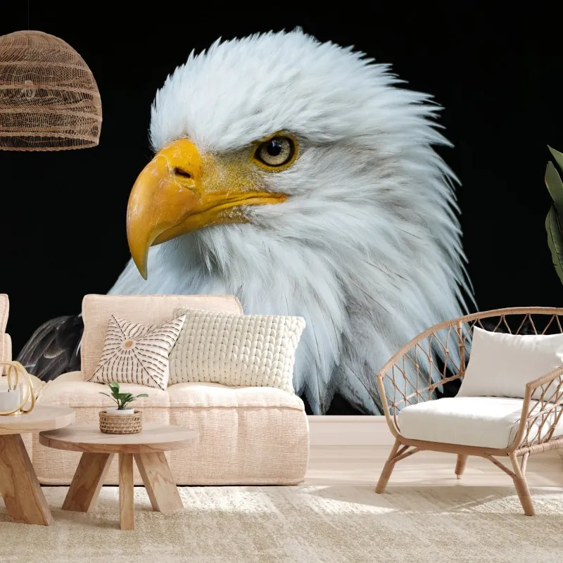 Fototapeta majestatyczny portret bielika