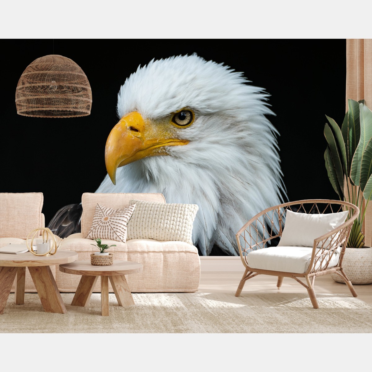 Wall mural majestic bald eagle portrait