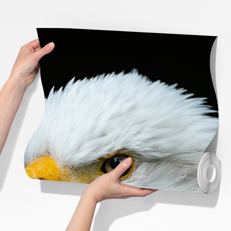 Fototapeta majestatyczny portret bielika – Wallissimo® Fototapeta majestatyczny portret bielika – Wallissimo®