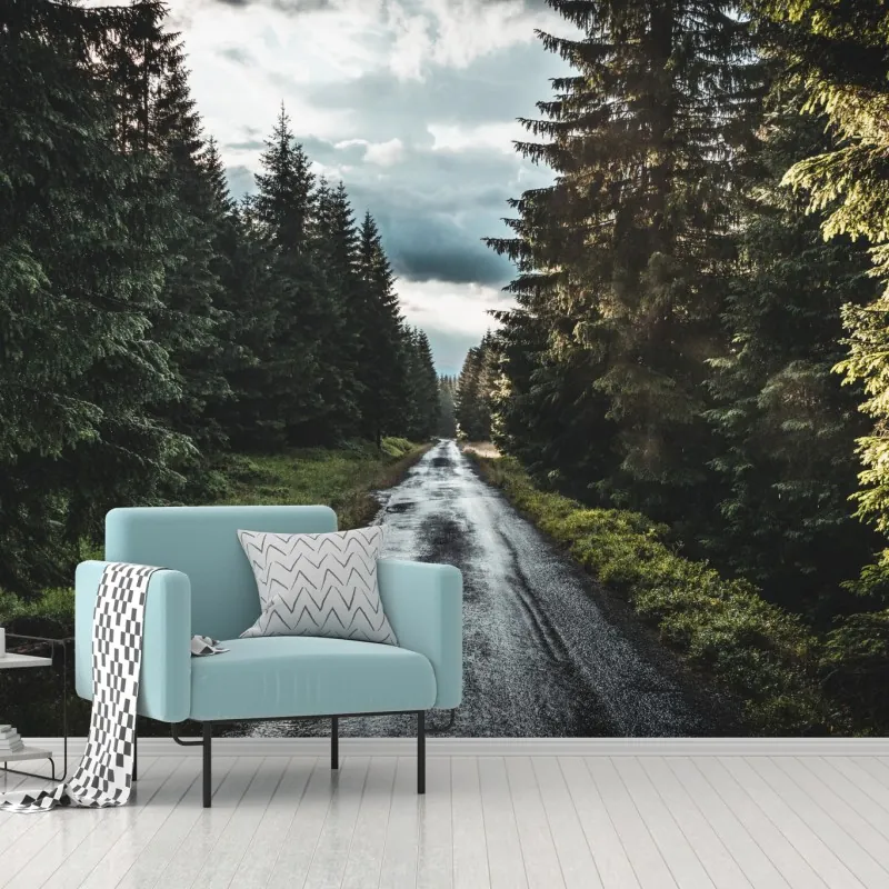 Fototapeta leśna droga wśród sosen