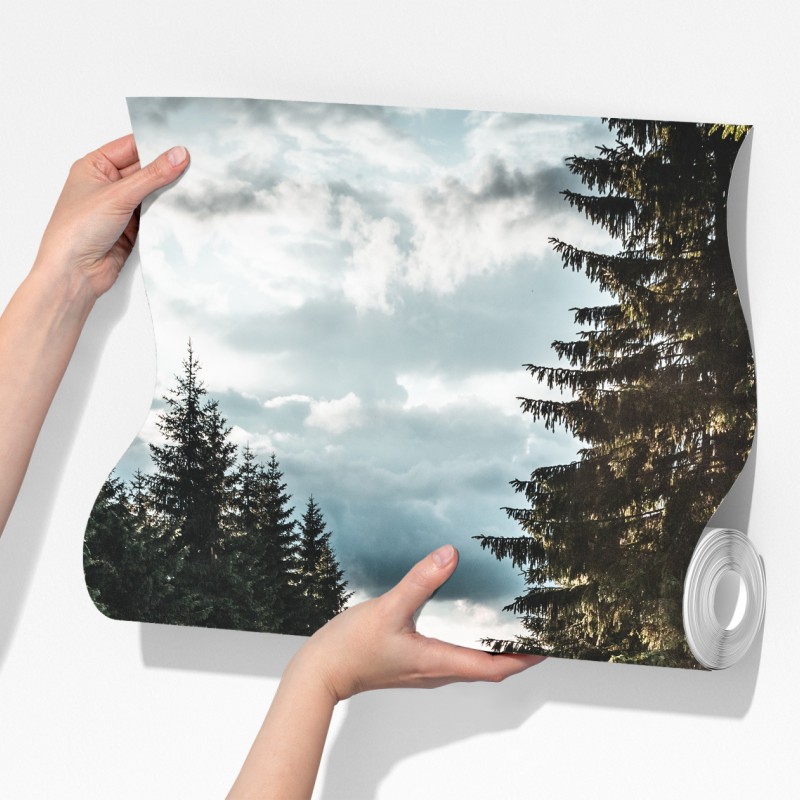 Fototapeta leśna droga wśród sosen – Wallissimo® Fototapeta leśna droga wśród sosen – Wallissimo®