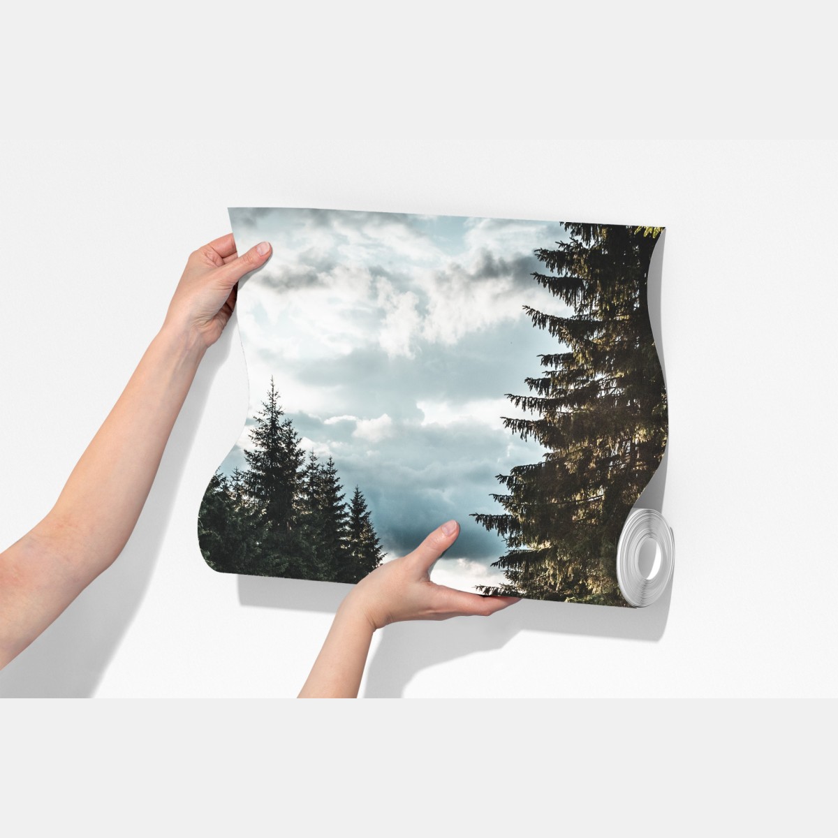 Fototapeta leśna droga wśród sosen – Wallissimo® Fototapeta leśna droga wśród sosen – Wallissimo®