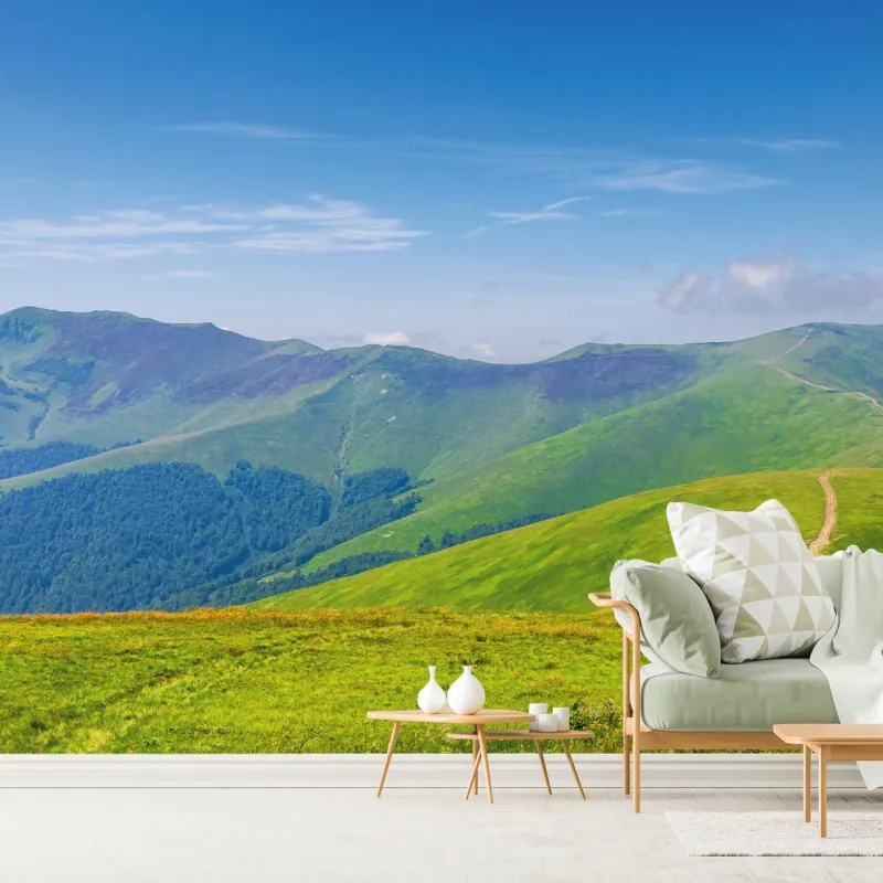 Fototapeta słoneczna łąka Borżawa, Zakarpacie, Ukraina