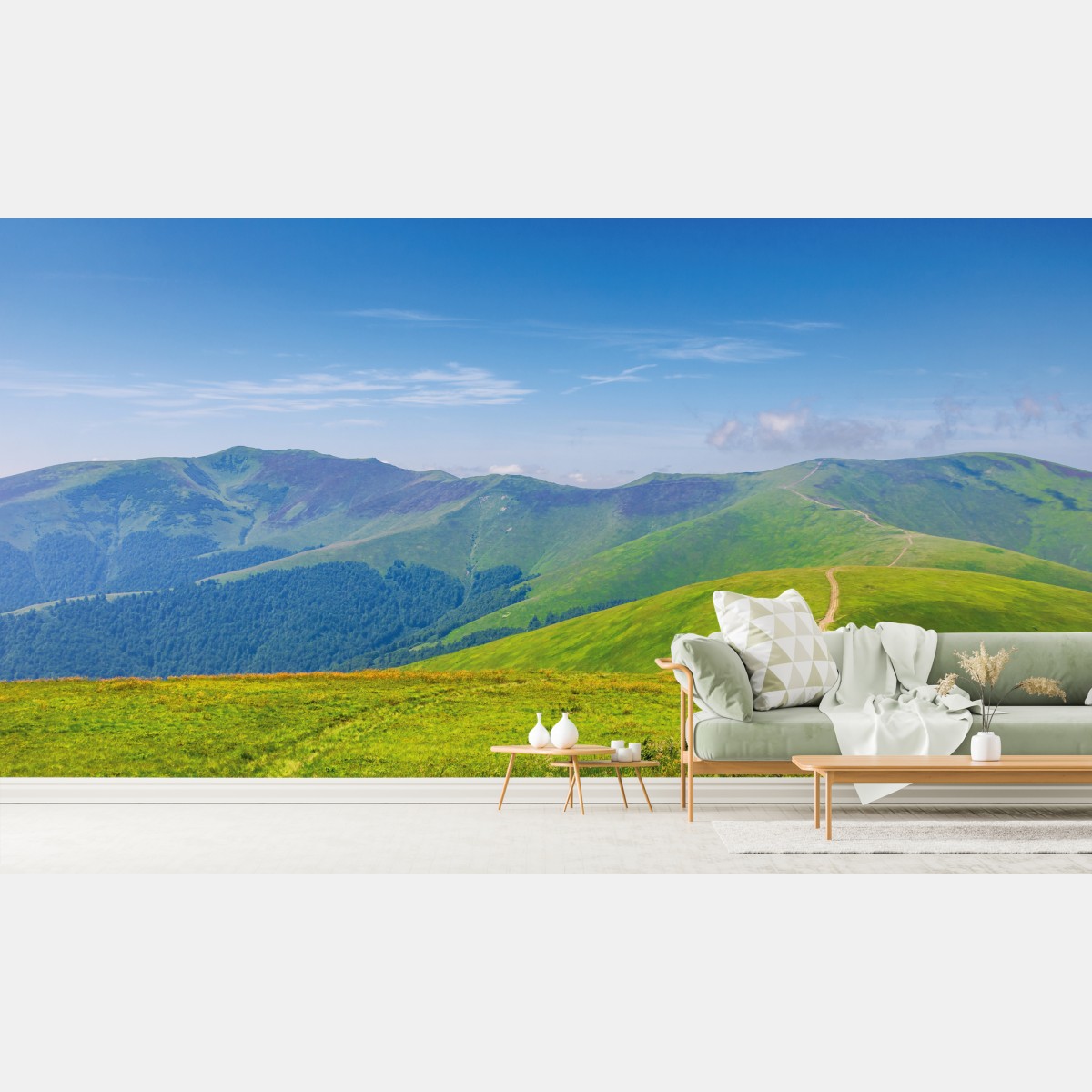Wall mural sunny Borzhava ridge meadow, Transcarpathia, Ukraine