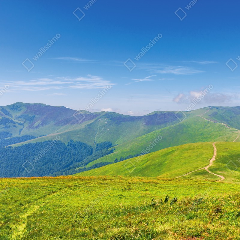 Fototapeta słoneczna łąka Borżawa, Zakarpacie, Ukraina – Wallissimo® Fototapeta słoneczna łąka Borżawa, Zakarpacie, Ukraina – Wallissimo®