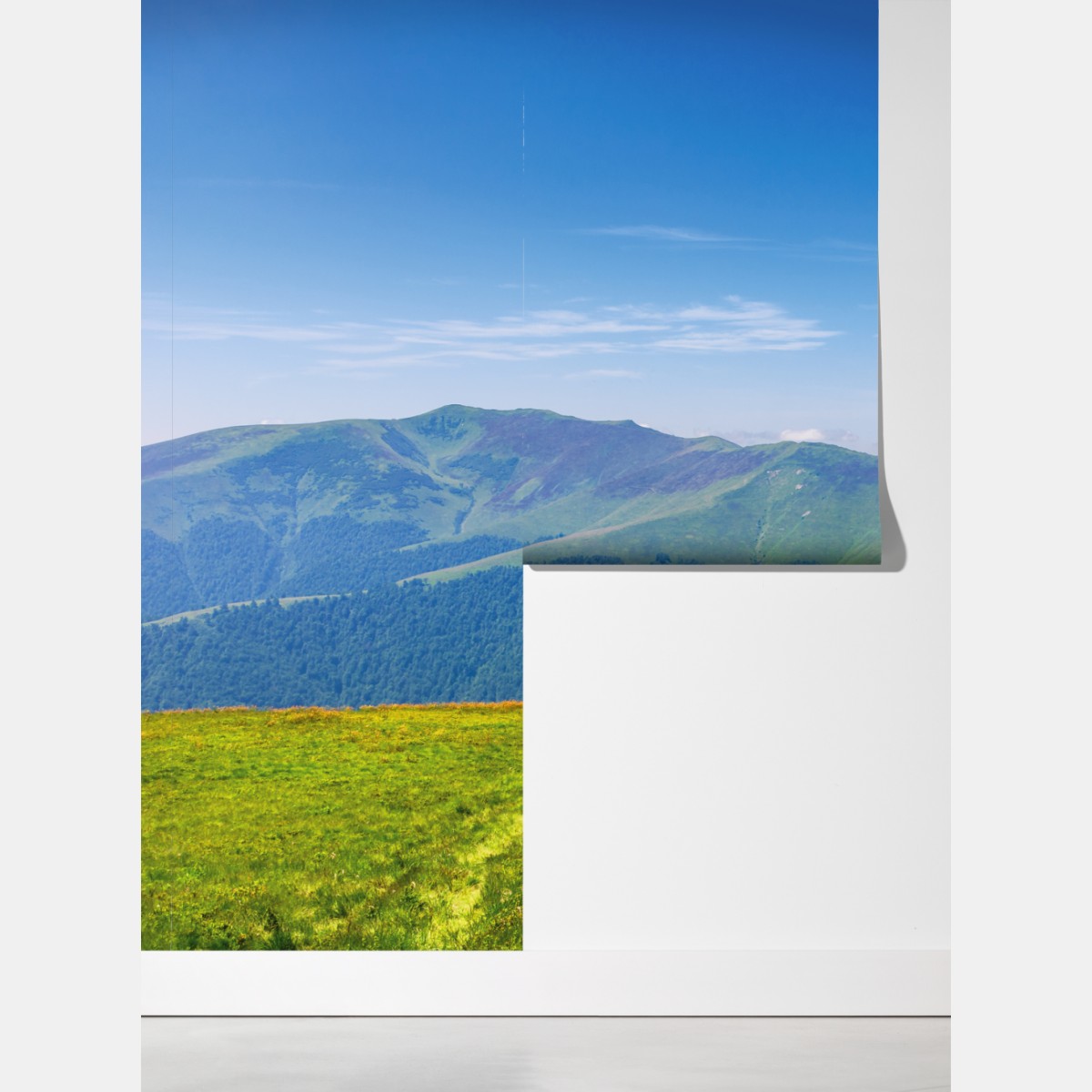 Fototapeta słoneczna łąka Borżawa, Zakarpacie, Ukraina – Wallissimo® Fototapeta słoneczna łąka Borżawa, Zakarpacie, Ukraina – Wallissimo®