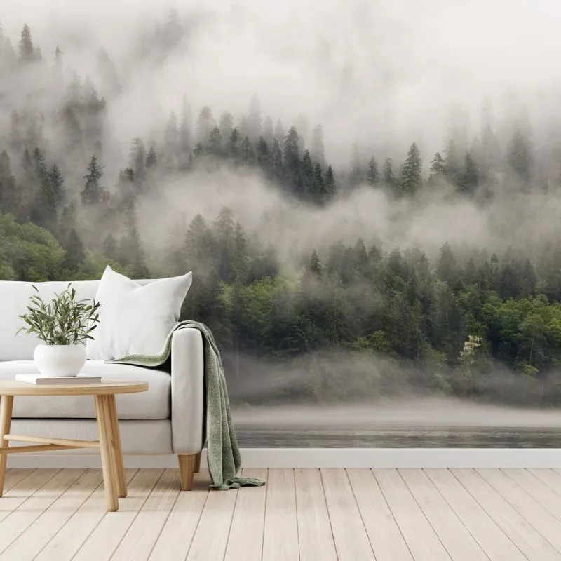 Fototapeta mglisty las nad wybrzeżem, Kolumbia Brytyjska – Wallissimo® Fototapeta mglisty las nad wybrzeżem, Kolumbia Brytyjska – Wallissimo®