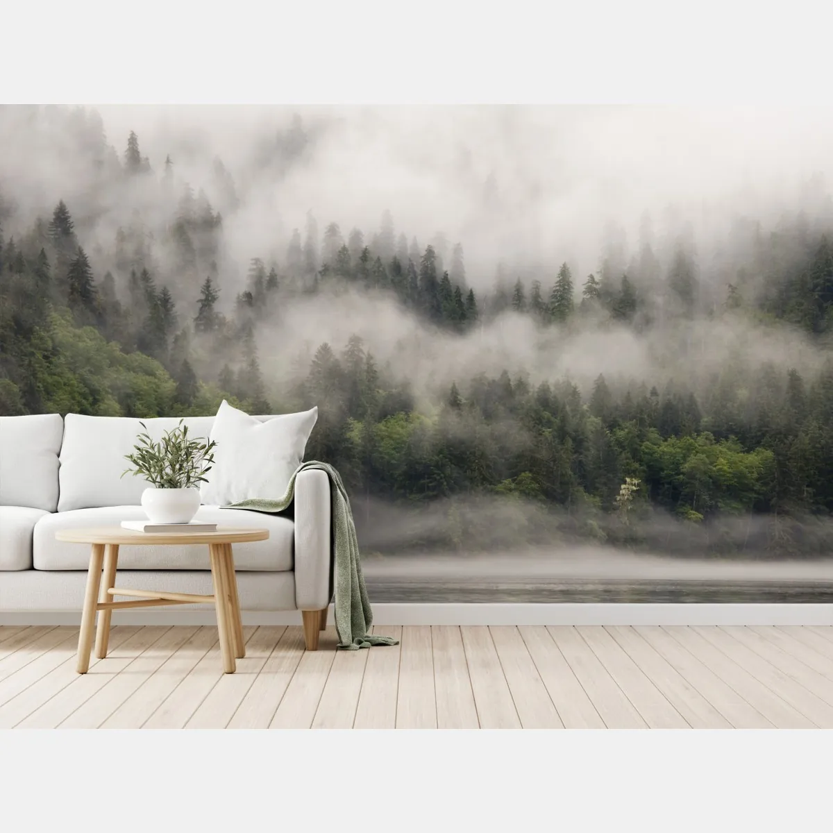 Fototapeta mglisty las nad wybrzeżem, Kolumbia Brytyjska – Wallissimo® Fototapeta mglisty las nad wybrzeżem, Kolumbia Brytyjska – Wallissimo®