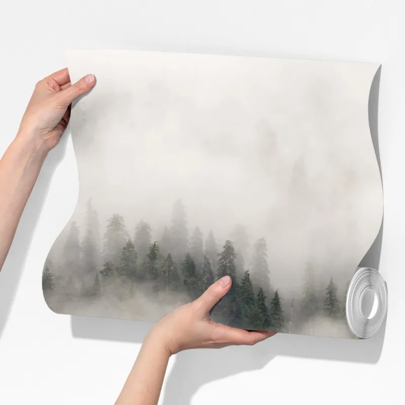 Fototapeta mglisty las nad wybrzeżem, Kolumbia Brytyjska – Wallissimo® Fototapeta mglisty las nad wybrzeżem, Kolumbia Brytyjska – Wallissimo®