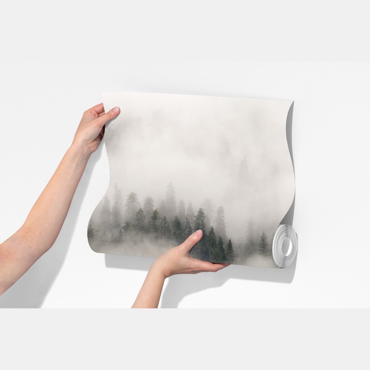 Fototapeta mglisty las nad wybrzeżem, Kolumbia Brytyjska – Wallissimo® Fototapeta mglisty las nad wybrzeżem, Kolumbia Brytyjska – Wallissimo®