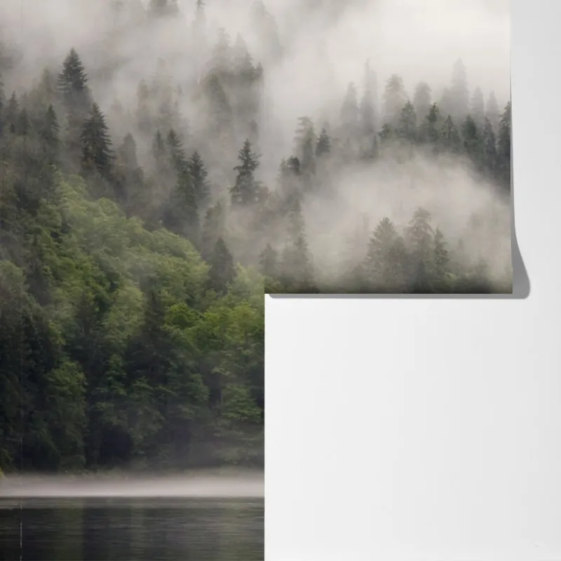 Fototapeta mglisty las nad wybrzeżem, Kolumbia Brytyjska – Wallissimo® Fototapeta mglisty las nad wybrzeżem, Kolumbia Brytyjska – Wallissimo®