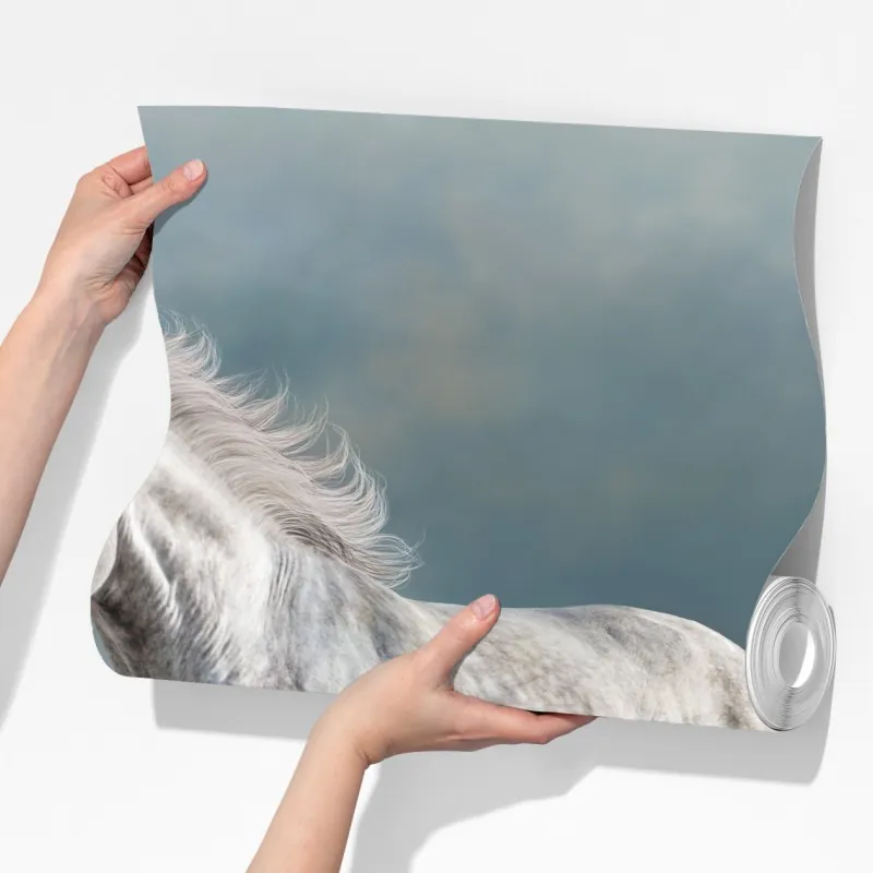 Fototapeta majestatyczny siwy koń galopujący po piasku – Wallissimo® Fototapeta majestatyczny siwy koń galopujący po piasku – Wallissimo®