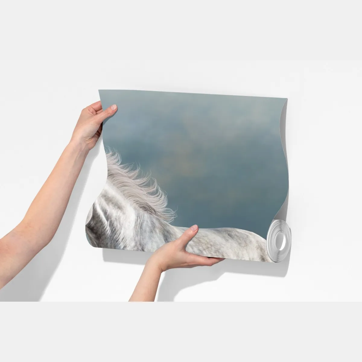 Fototapeta majestatyczny siwy koń galopujący po piasku – Wallissimo® Fototapeta majestatyczny siwy koń galopujący po piasku – Wallissimo®