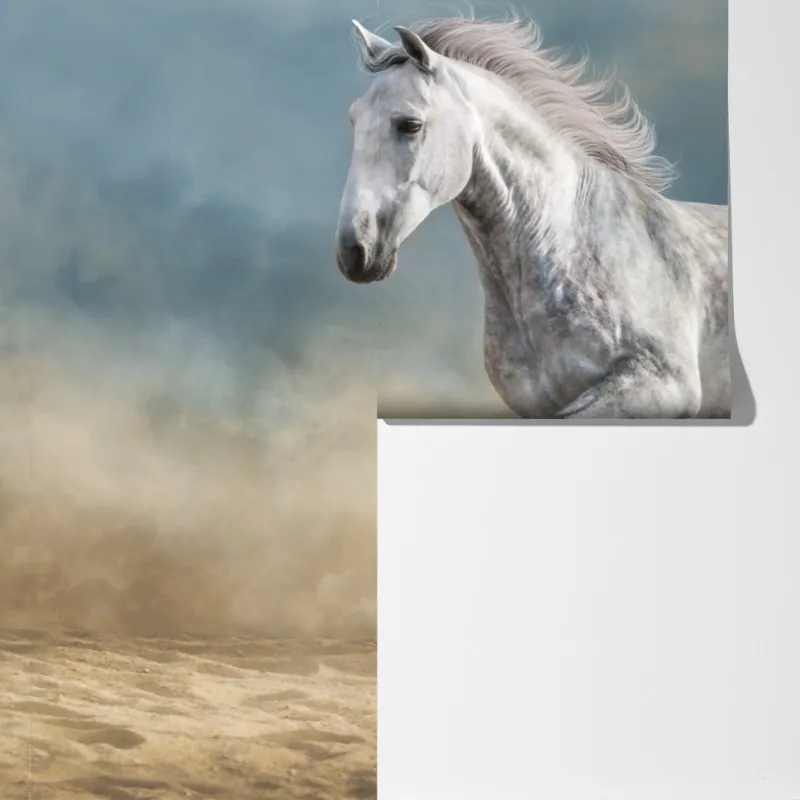 Fototapeta majestatyczny siwy koń galopujący po piasku – Wallissimo® Fototapeta majestatyczny siwy koń galopujący po piasku – Wallissimo®