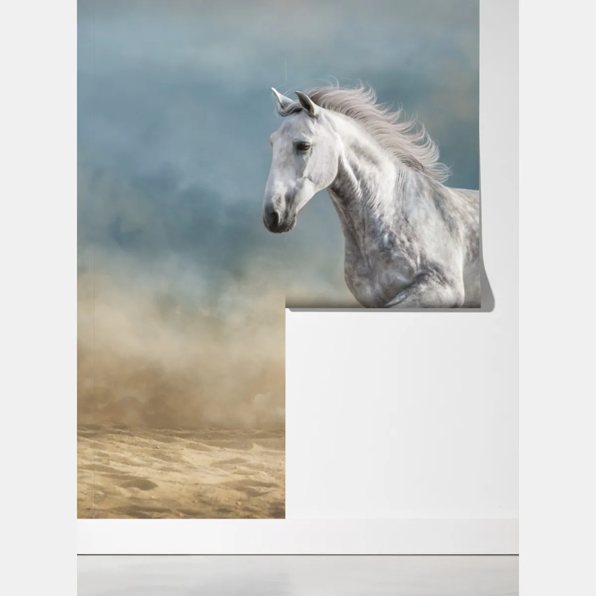 Fototapeta majestatyczny siwy koń galopujący po piasku – Wallissimo® Fototapeta majestatyczny siwy koń galopujący po piasku – Wallissimo®