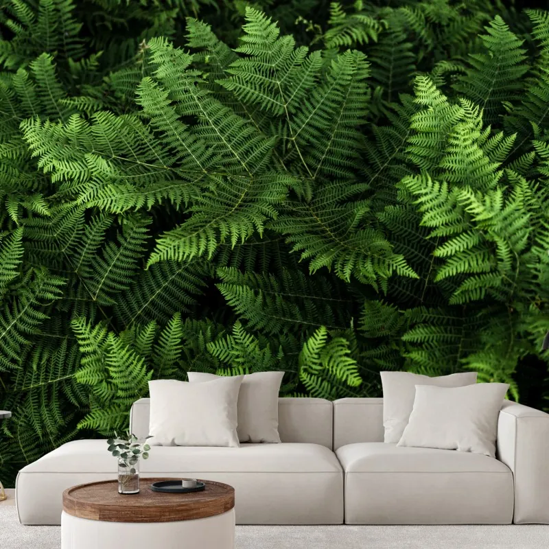 Fototapeta bujna zielona paproć